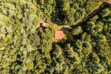 805 Deer Crossing Lane - Photo 10