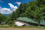 1145 Woolyshot Branch Road - Photo 5