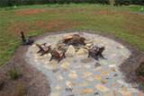 101 Catawba Cove Drive - Photo 12