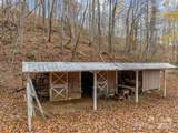 61 Doe Loop - Photo 30