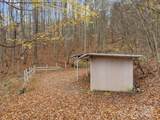 61 Doe Loop - Photo 31
