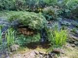 40 Panda Trail - Photo 11
