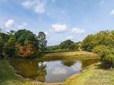 18 Sweetwater Pond Road - Photo 19