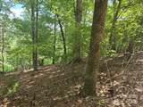 Lot 34 Hawks Nest Trail - Photo 4
