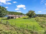 83.67 Acres Pleasant Grove Road - Photo 16