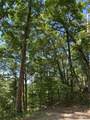 0 Winesap Boulevard - Photo 4