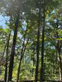 0 Winesap Boulevard - Photo 5