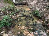 0 Mountain Brook Trail - Photo 12