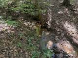 0 Mountain Brook Trail - Photo 14