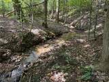 0 Mountain Brook Trail - Photo 15