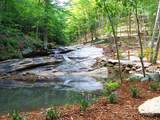 0 Mountain Brook Trail - Photo 28