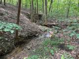 0 Mountain Brook Trail - Photo 9