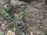 0 Mountain Brook Trail - Photo 10