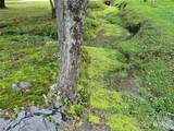 Lot #26 Meandering Way - Photo 5