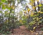 0 Mountain Lookout Drive - Photo 4