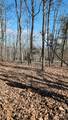 0 Mountain Lookout Drive - Photo 35