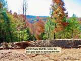3.31 acres, Lot 37 Poplar Bluff Drive - Photo 1