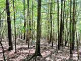 3.31 acres, Lot 37 Poplar Bluff Drive - Photo 12