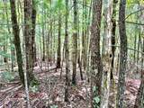 3.31 acres, Lot 37 Poplar Bluff Drive - Photo 13