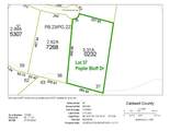 3.31 acres, Lot 37 Poplar Bluff Drive - Photo 5