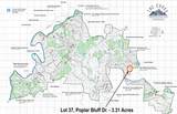 3.31 acres, Lot 37 Poplar Bluff Drive - Photo 6