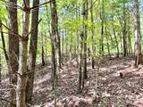 3.31 acres, Lot 37 Poplar Bluff Drive - Photo 8