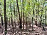 3.31 acres, Lot 37 Poplar Bluff Drive - Photo 9