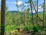 99999 Youngs Gap Road - Photo 16