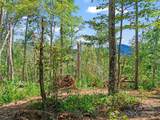 99999 Youngs Gap Road - Photo 8