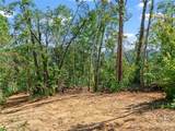 99999 Youngs Gap Road - Photo 10