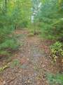 0 Pinewood Drive - Photo 3