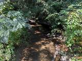 516 Averys Creek Road - Photo 26