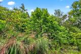 1696 Catawba Falls Parkway - Photo 9