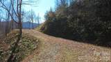 97 Junebug Trail - Photo 13