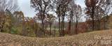 97 Junebug Trail - Photo 16