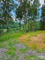 97 Junebug Trail - Photo 7