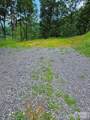 97 Junebug Trail - Photo 9