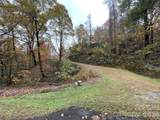 97 Junebug Trail - Photo 10