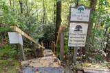 TBD Pine Mountain Trail - Photo 20