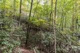 TBD Pine Mountain Trail - Photo 6