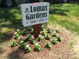 1300 Lomax Avenue - Photo 10