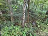 Lot 8 Madison Lane - Photo 14
