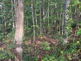 Lot 8 Madison Lane - Photo 8