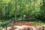 3232 Su San Farms Road - Photo 10