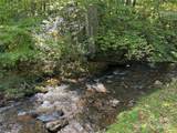 00 Puncheon Fork Road - Photo 13