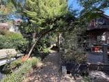 1808 Chestnut Avenue - Photo 15