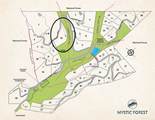 Lot 10 Mystic Forest Way - Photo 41