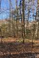 0 Buffalo Creek Road - Photo 28