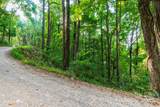 TBD Springbrook Farm Road - Photo 3