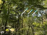 00 Poplar Holler Road - Photo 26